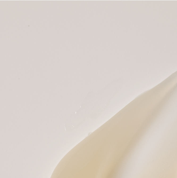 The Toothpaste in Coconut | Clean Products You Can Trust | ZEBRA